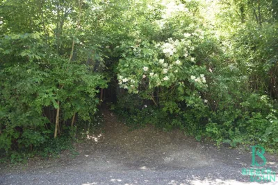 Grundstück kaufen in Tulln – 1 421 m², € 1.165.080 – Bild 2 von 7