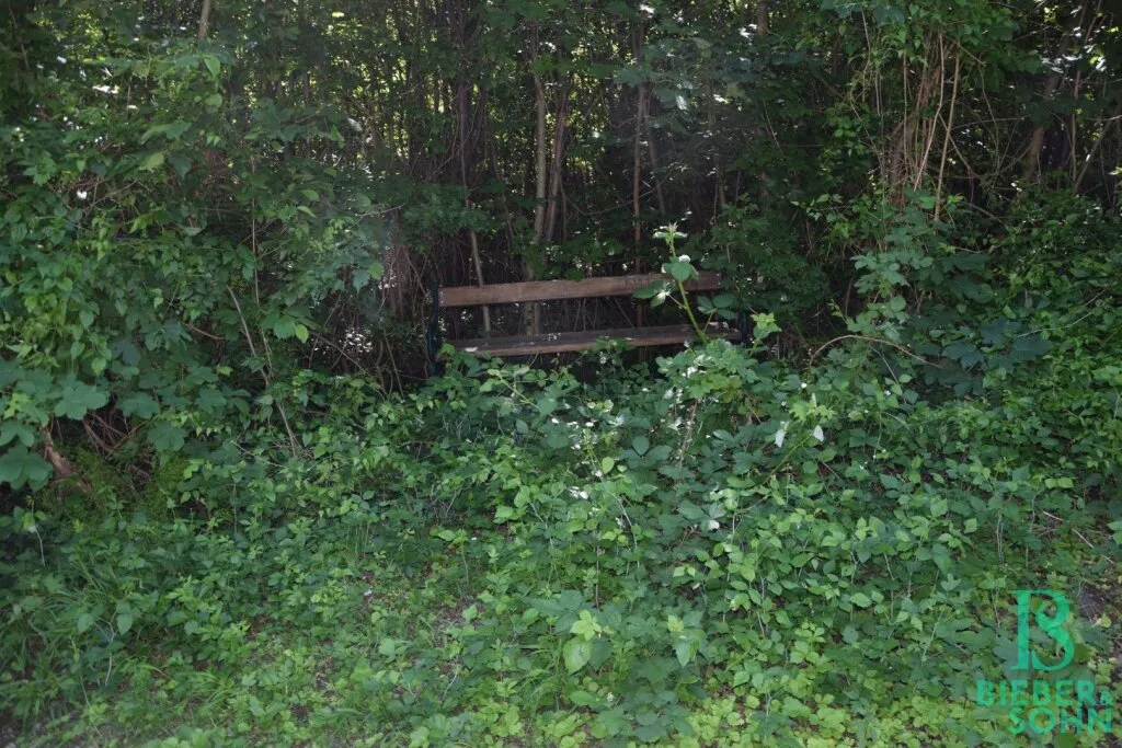 Beim Buchberg - Baugrund in herrlicher Aussichtslage - vielseitige Nutzungsmöglichkeit – pohled 3