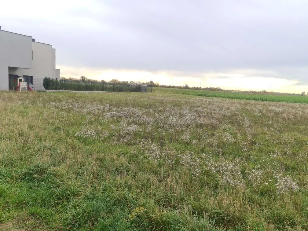 Traumhaftes Grundstück mit unverbaubarem Ausblick ins Grüne - Ansicht 2