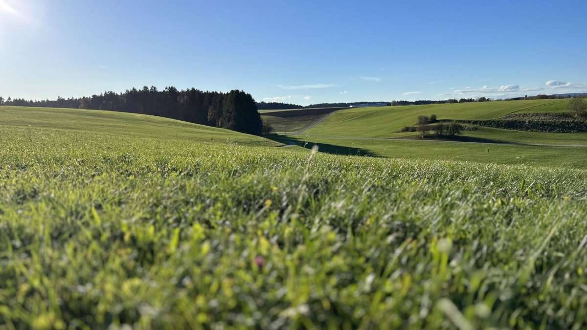 Traumhaft gelegenes Baugrundstück - Ansicht 2