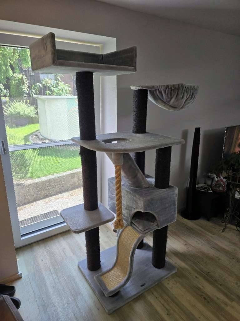 Maine Coon kratzbaum xxl,  200,- (4522 Sierning) - willhaben