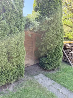 3-Zimmer-Haus kaufen in Urfahr-Umgebung – 68 m², € 330.000 – Bild 7 von 17