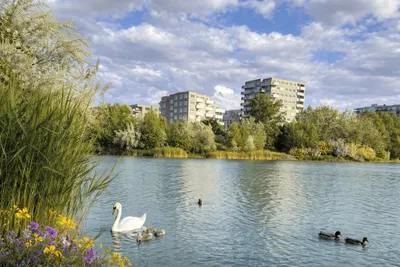 1-Zimmer-Gewerbeimmobilie mieten in Wien – 297 m², € 5.482 – Bild 17 von 21
