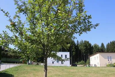 Grundstück kaufen in Voitsberg – 761 m², € 76.000 – Bild 2 von 18