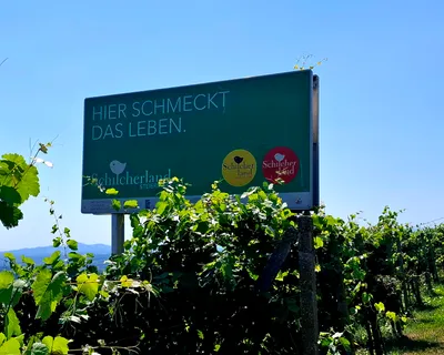 Grundstück kaufen in Voitsberg – 761 m², € 76.000 – Bild 18 von 18