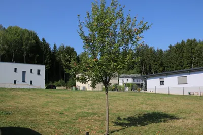 Grundstück kaufen in Voitsberg – 761 m², € 76.000 – Bild 13 von 18
