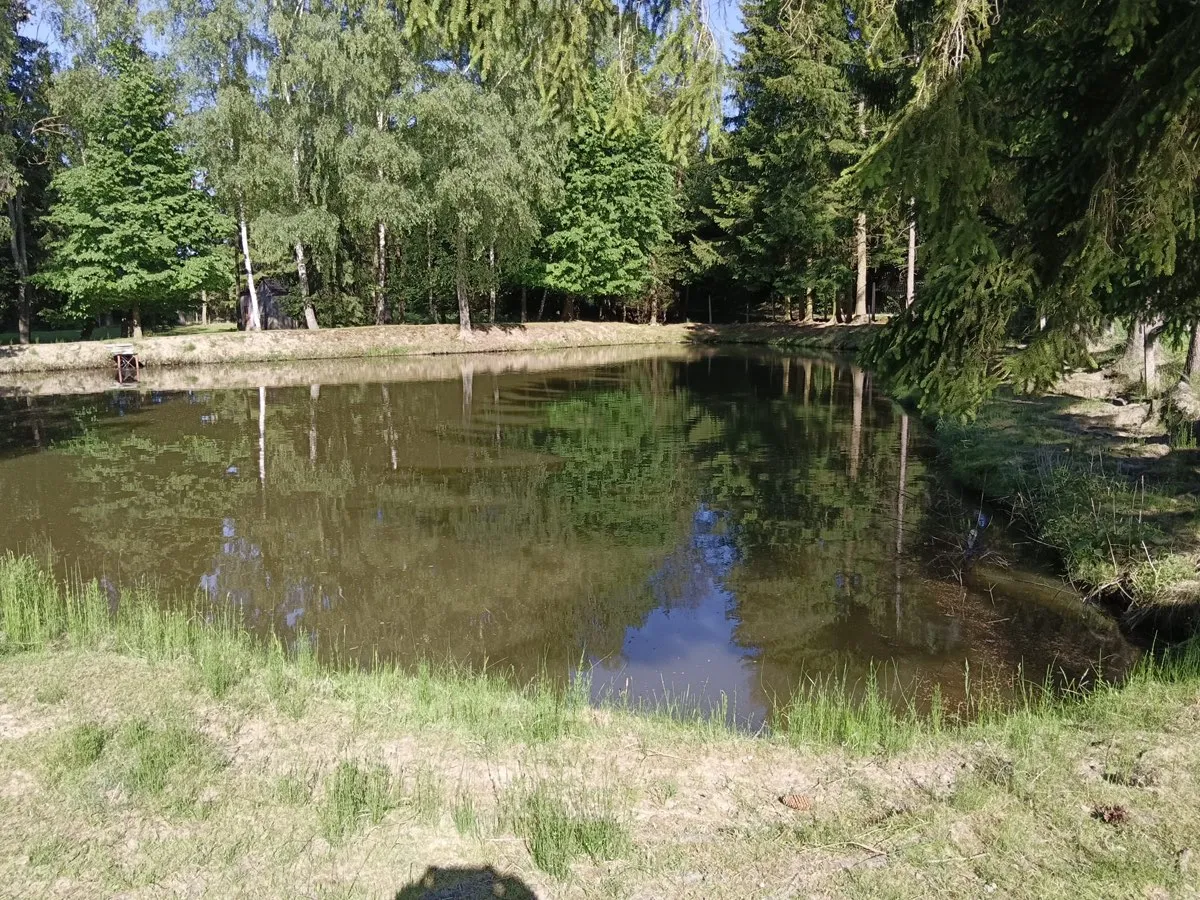 "Naturidylle vor den Toren Zwettls - 5.000 m² mit Teich und Fischzuchtgebäude".