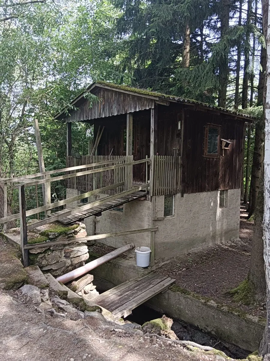 "Naturidylle vor den Toren Zwettls - 5.000 m² mit Teich und Fischzuchtgebäude". - Ansicht 2