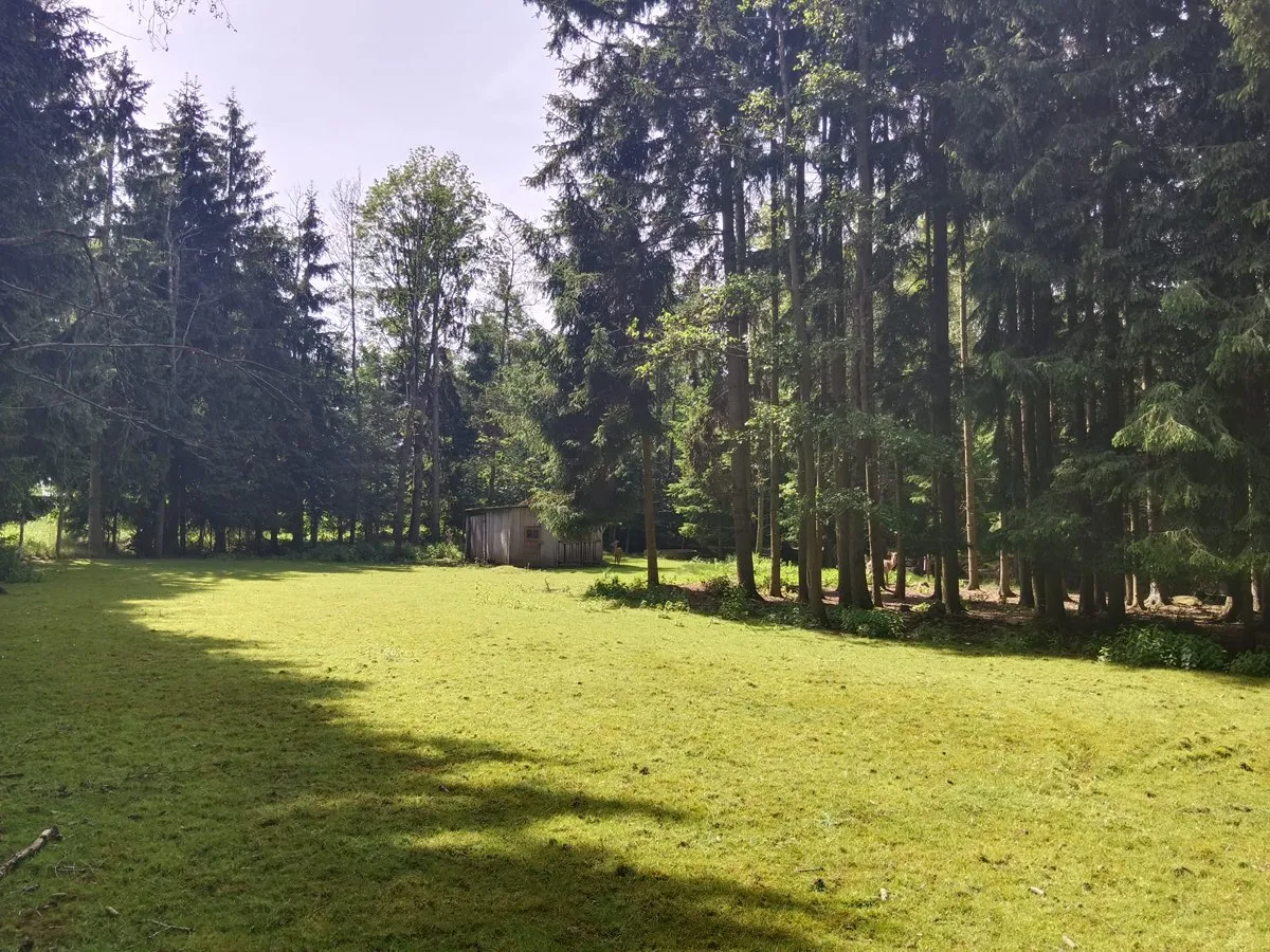 "Naturidylle vor den Toren Zwettls - 5.000 m² mit Teich und Fischzuchtgebäude". - Ansicht 3
