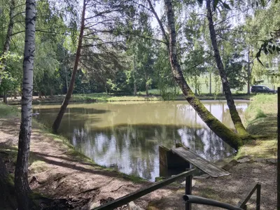 Immobilie kaufen in Zwettl – 5 000 m², € 99.999 – Bild 7 von 17