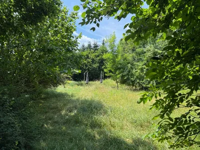Grundstück kaufen in Graz – 2 588 m² – Bild 18 von 19