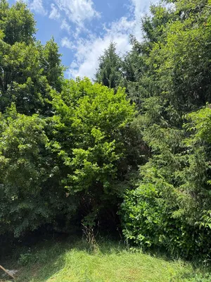 Grundstück kaufen in Graz – 2 588 m² – Bild 16 von 19