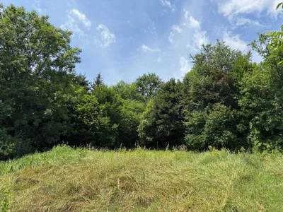 Grundstück kaufen in Graz – 2 588 m² – Bild 12 von 19