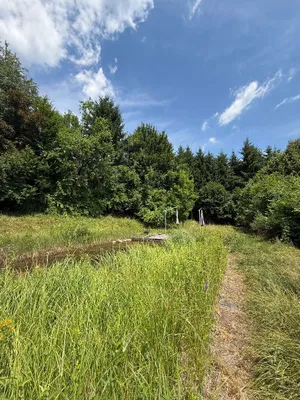 Grundstück kaufen in Graz – 2 588 m² – Bild 15 von 19