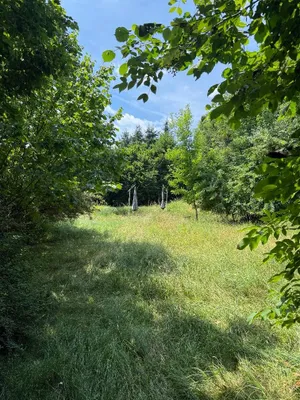Grundstück kaufen in Graz – 2 588 m² – Bild 17 von 19