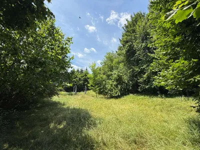 Grundstück kaufen in Graz – 2 588 m² – Bild 19 von 19