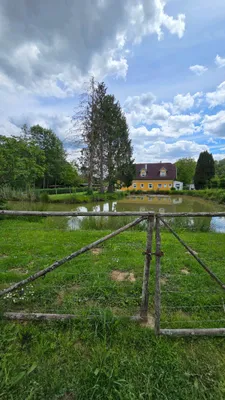 Grundstück kaufen in Hartberg-Fürstenfeld – 4 500 m², € 134.000 – Bild 2 von 8