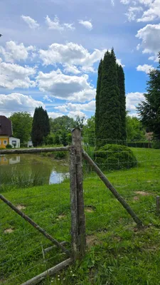 Grundstück kaufen in Hartberg-Fürstenfeld – 4 500 m², € 134.000 – Bild 5 von 8