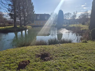 Grundstück kaufen in Hartberg-Fürstenfeld – 4 500 m², € 134.000 – Bild 7 von 8