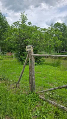 Grundstück kaufen in Hartberg-Fürstenfeld – 4 500 m², € 134.000 – Bild 3 von 8
