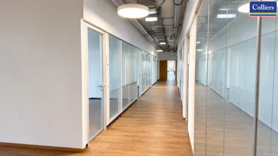 18-Zimmer-Gewerbeimmobilie mieten in Wien – 775 m², € 13.617 – Bild 6 von 13