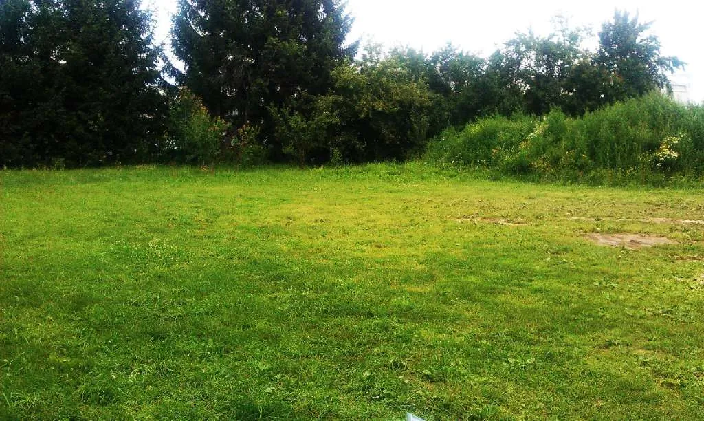 Sonniger Baugrund (1.128 m²) in Wasserhofen - Eben, erschlossen, von Privat (Provisionsfrei) - Ansicht 3