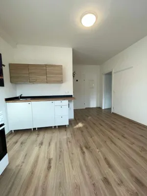 2-Zimmer-Wohnung mieten in Linz Land – 37 m², € 560 – Bild 5 von 13
