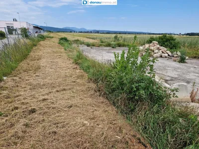Grundstück kaufen in Wiener Neustadt Land – 5 821 m², € 1.920.000 – Bild 9 von 15