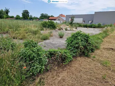 Grundstück kaufen in Wiener Neustadt Land – 5 821 m², € 1.920.000 – Bild 7 von 15
