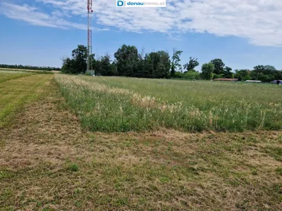 Grundstück kaufen in Wiener Neustadt Land – 5 821 m², € 1.920.000 – Bild 4 von 15