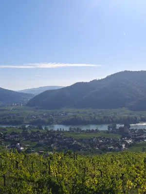 Grundstück kaufen in Krems Land – 500 m², € 45.000 – Bild 3 von 3