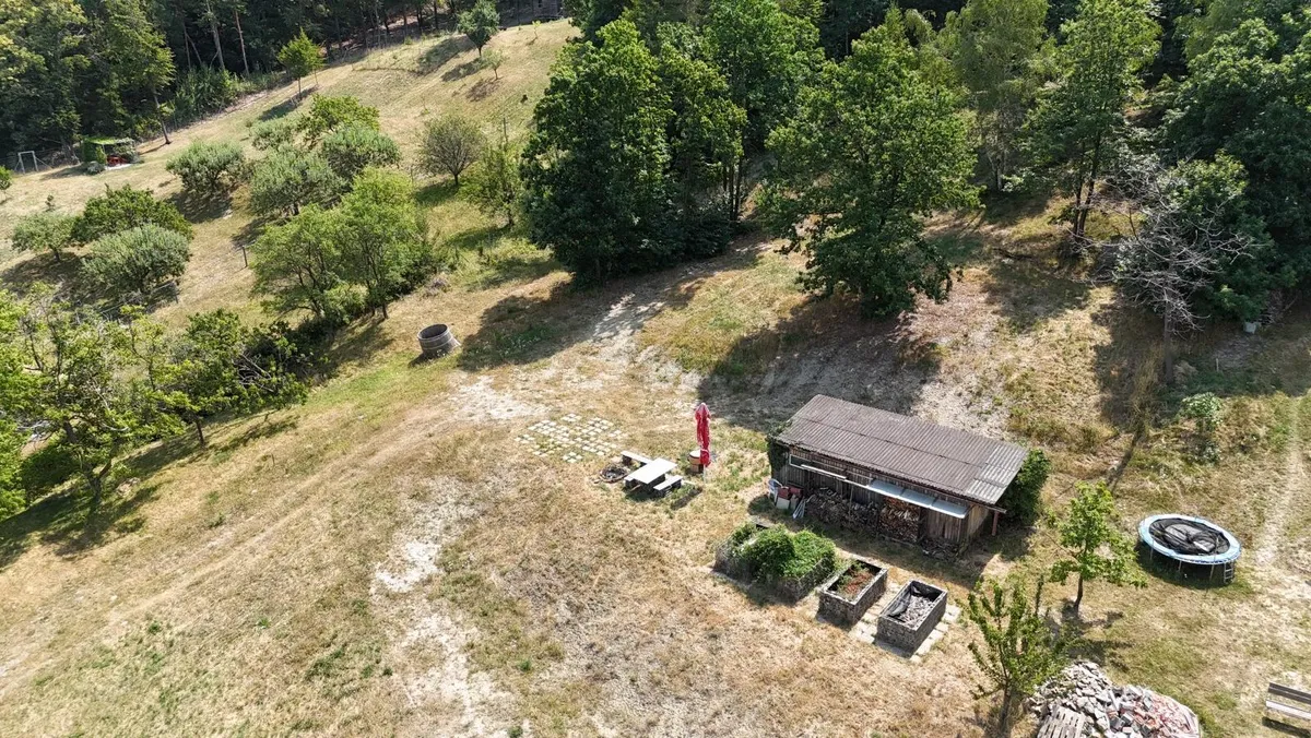 Baugrundstück in sonniger & ruhiger Waldrandlage mit einzigartigem Weitblick - Ansicht 3