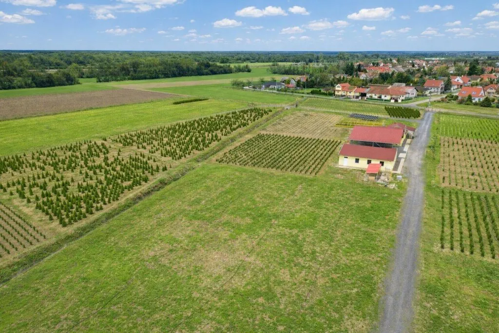 Großzügige Gewerbeimmobilie mit 6,5 ha Grundstück nahe Szombathely zum Verkauf - Ansicht 2