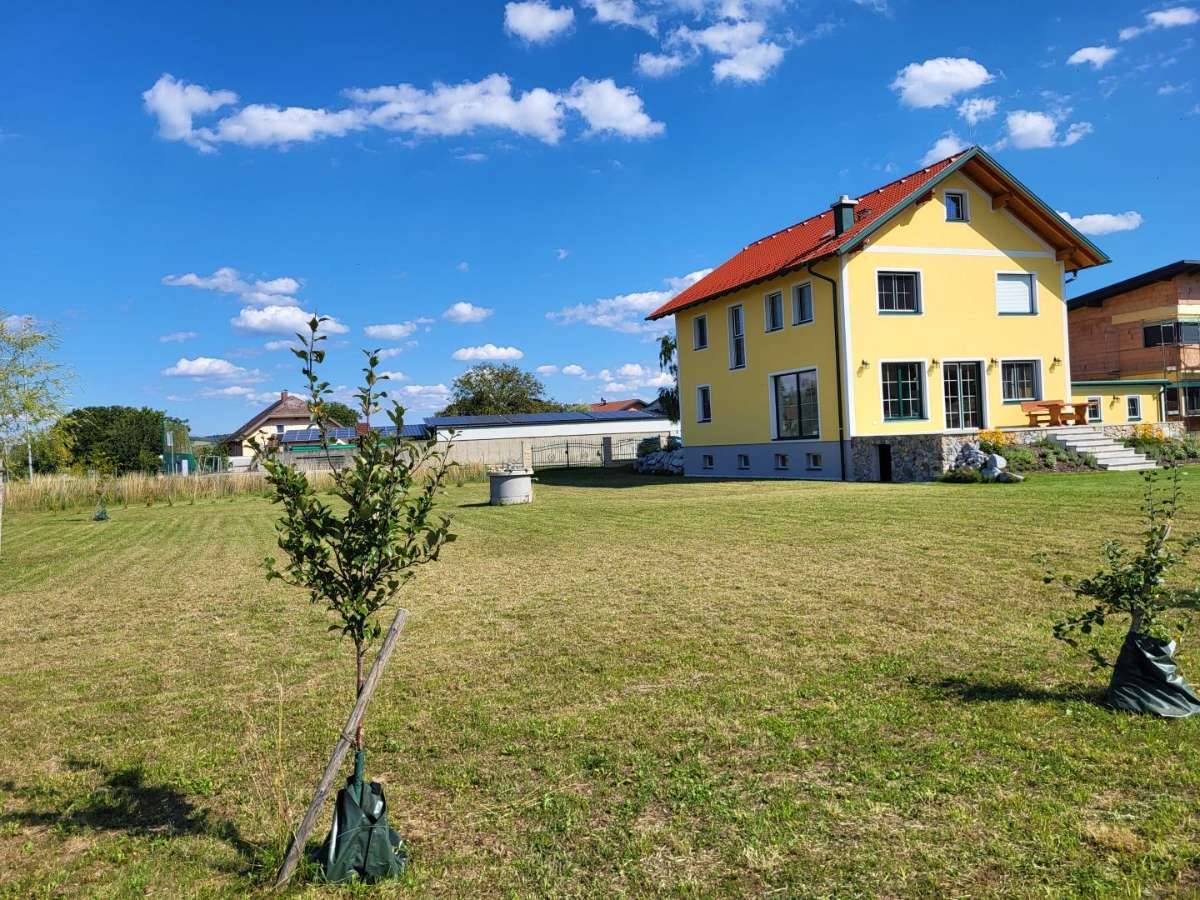 NEUBAU BJ 2024 NÄHE TULLN MIT GROSSEM GRUNDSTÜCK - Ansicht 3