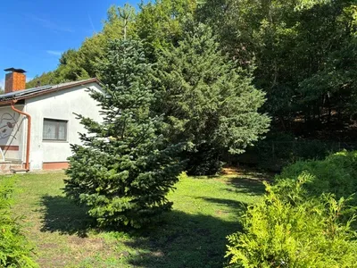 3-Zimmer-Haus kaufen in Mödling – 68,8 m², € 260.000 – Bild 3 von 29
