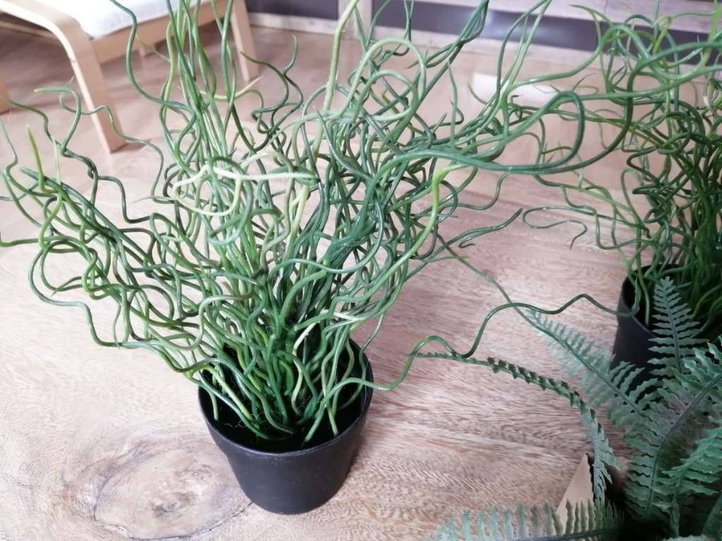 7 Stk. Kunst Pflanzen im Topf Farn Sukkulente....,  14,- (4070 Eferding) -  willhaben