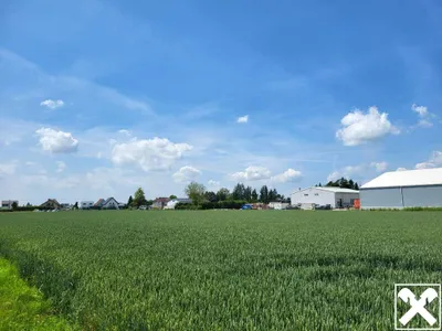 Immobilie mieten in Linz Land – 12 112 m² – Bild 4 von 4