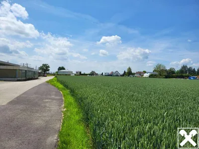 Immobilie mieten in Linz Land – 12 112 m² – Bild 2 von 4