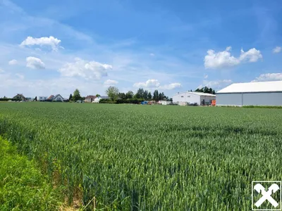 Immobilie mieten in Linz Land – 12 112 m² – Bild 3 von 4