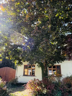 Immobilie kaufen in Gänserndorf – 104 m², € 299.000 – Bild 5 von 31