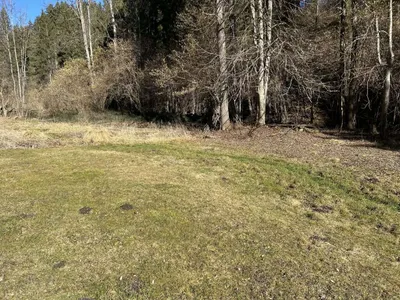 Immobilie kaufen in Sankt Veit an der Glan – 4 397 m², € 90.000 – Bild 4 von 8