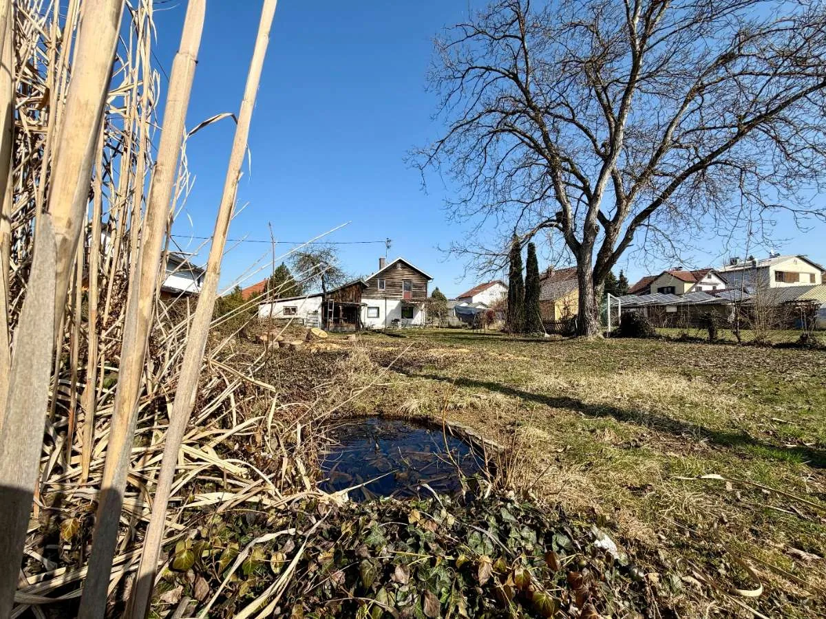 Großes Grundstück mit Altbauhaus in ruhiger Wohnlage - Ansicht 2