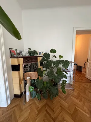 2-Zimmer-Wohnung mieten in Wien – 72 m², € 1.100 – Bild 5 von 23
