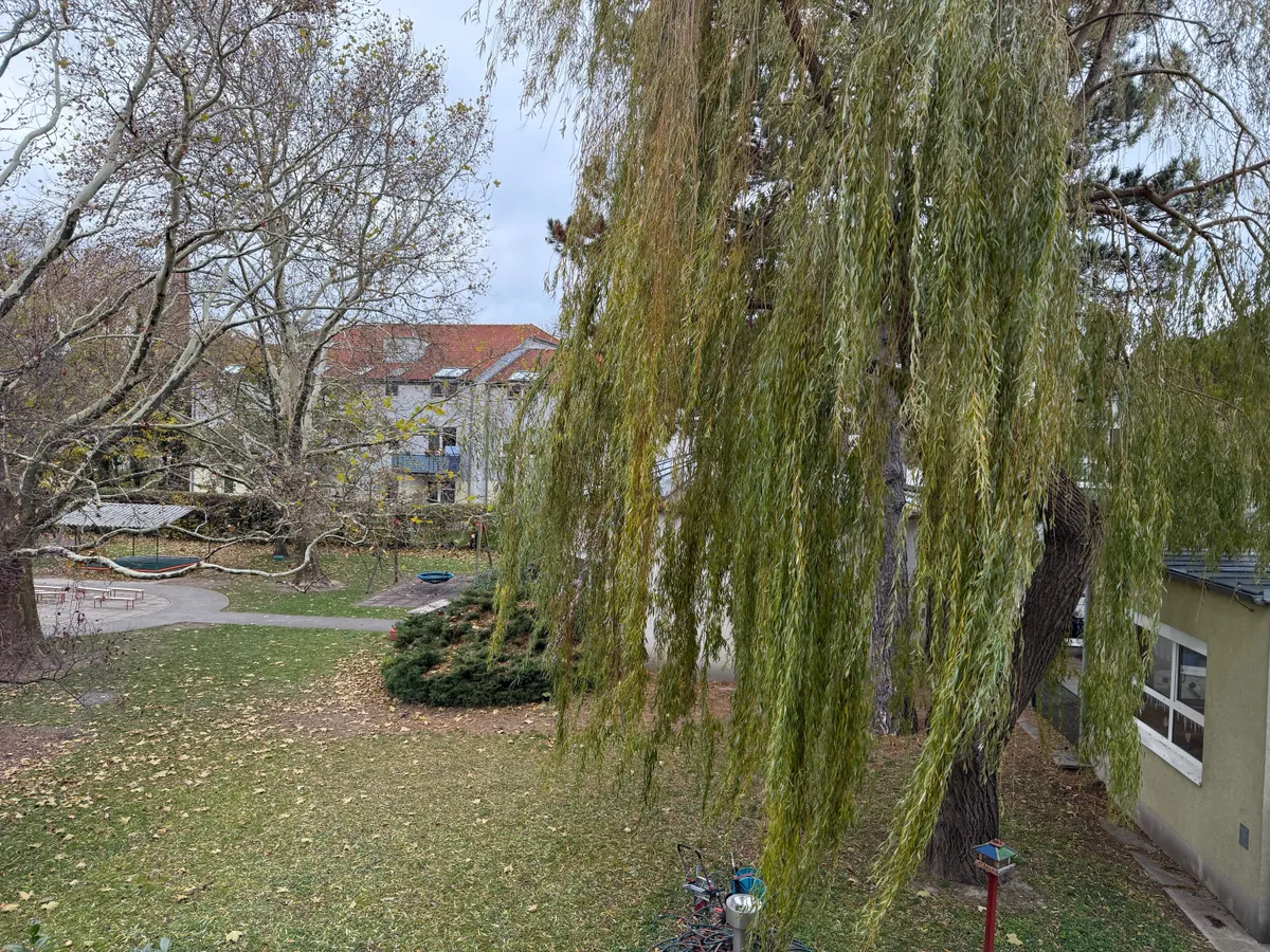 Ruhig - Grün - Neu - Ansicht 2
