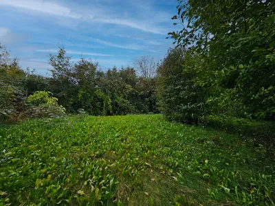 2-Zimmer-Haus mieten in Sankt Pölten Land – 50 m², € 750 – Bild 7 von 7