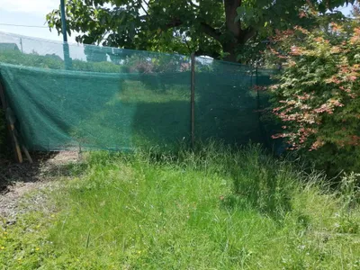 3-Zimmer-Wohnung mieten in Leibnitz – 80 m², € 900 – Bild 10 von 13