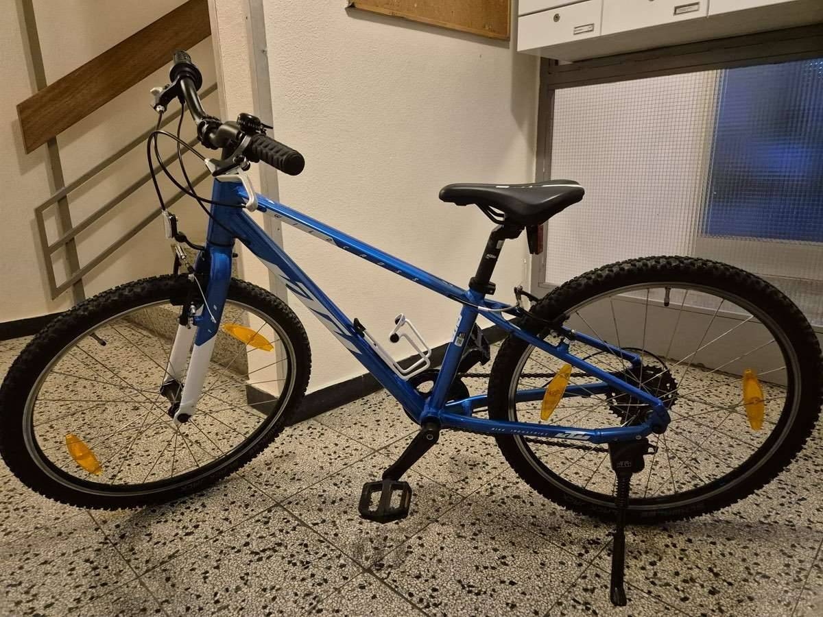 woom 2 fahrrad Woom GO 2 14" Bike  Playtri