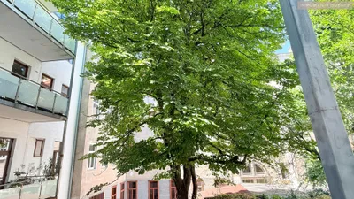 2-Zimmer-Wohnung kaufen in Wien – 54,77 m², € 425.000 – Bild 10 von 15