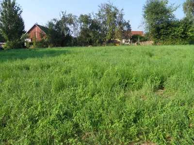 Grundstück kaufen in Graz-Umgebung – 1 053 m², € 250.000 – Bild 6 von 8