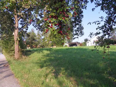 Grundstück zum Kauf in 8501 Graz-Umgebung